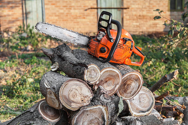 Preston, ID Tree Service Company